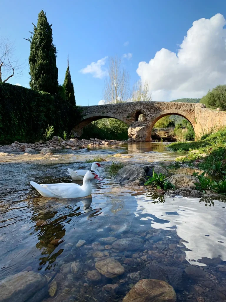 Stone bridge over water with ducks, representing reliable plumbing and heating services in Watford.